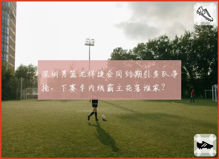 深圳男篮沈梓捷合同到期引多队争抢，下赛季内线霸主花落谁家？
