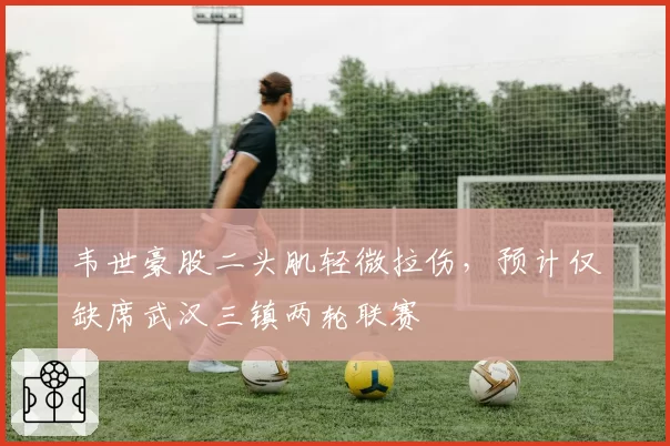 韦世豪股二头肌轻微拉伤，预计仅缺席武汉三镇两轮联赛