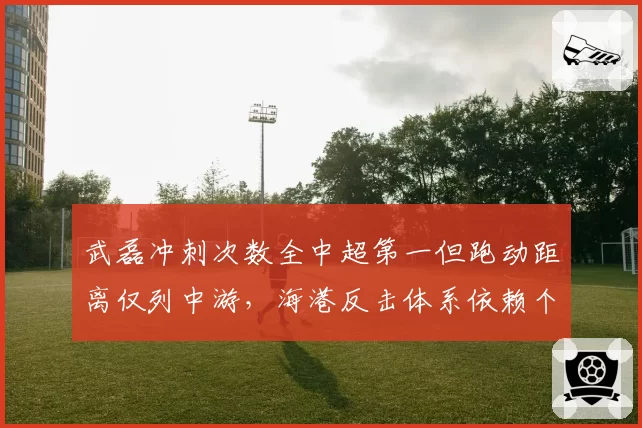 武磊冲刺次数全中超第一但跑动距离仅列中游，海港反击体系依赖个人爆发？
