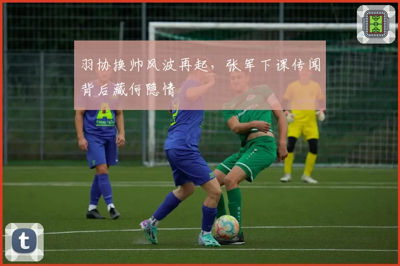 羽协换帅风波再起,张军下课传闻背后藏何隐情